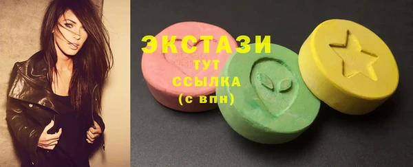 индика Краснотурьинск