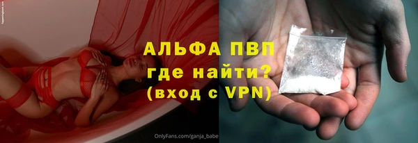 мдпв Краснослободск