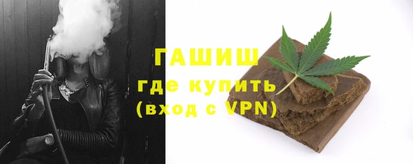 индика Краснотурьинск