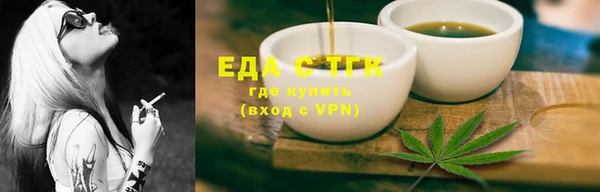 индика Краснотурьинск