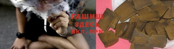 мдпв Краснослободск