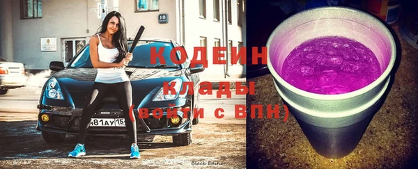 мдпв Краснослободск