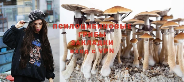 индика Краснотурьинск