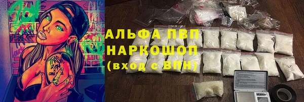 мдпв Краснослободск