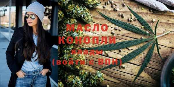 индика Краснотурьинск