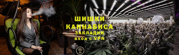 индика Краснотурьинск