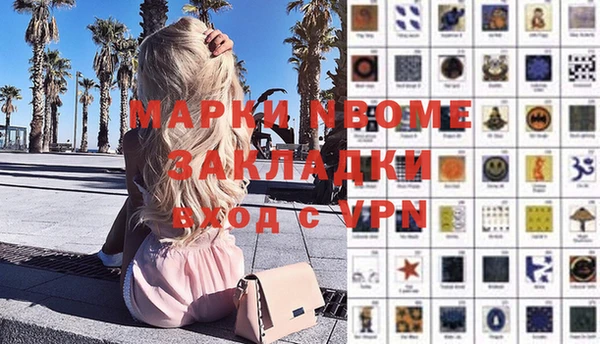 индика Краснотурьинск