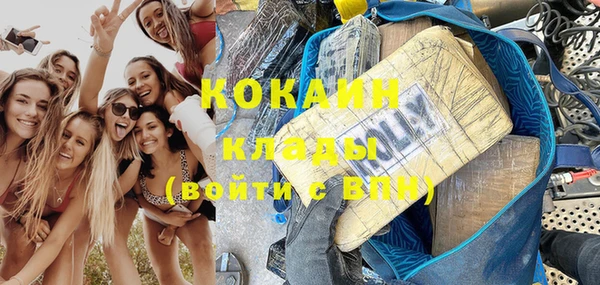 индика Краснотурьинск