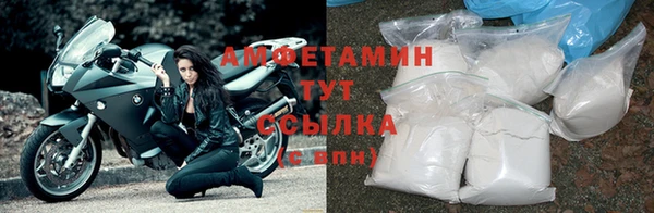 мдпв Краснослободск