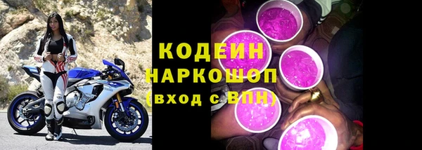 мдпв Краснослободск