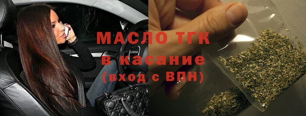 мдпв Краснослободск