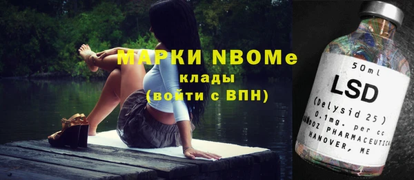 мдпв Краснослободск