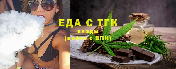 индика Краснотурьинск