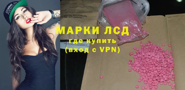 индика Краснотурьинск