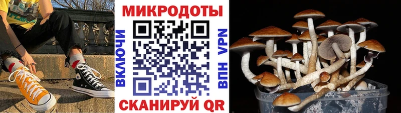 Псилоцибиновые грибы мицелий  Томилино 